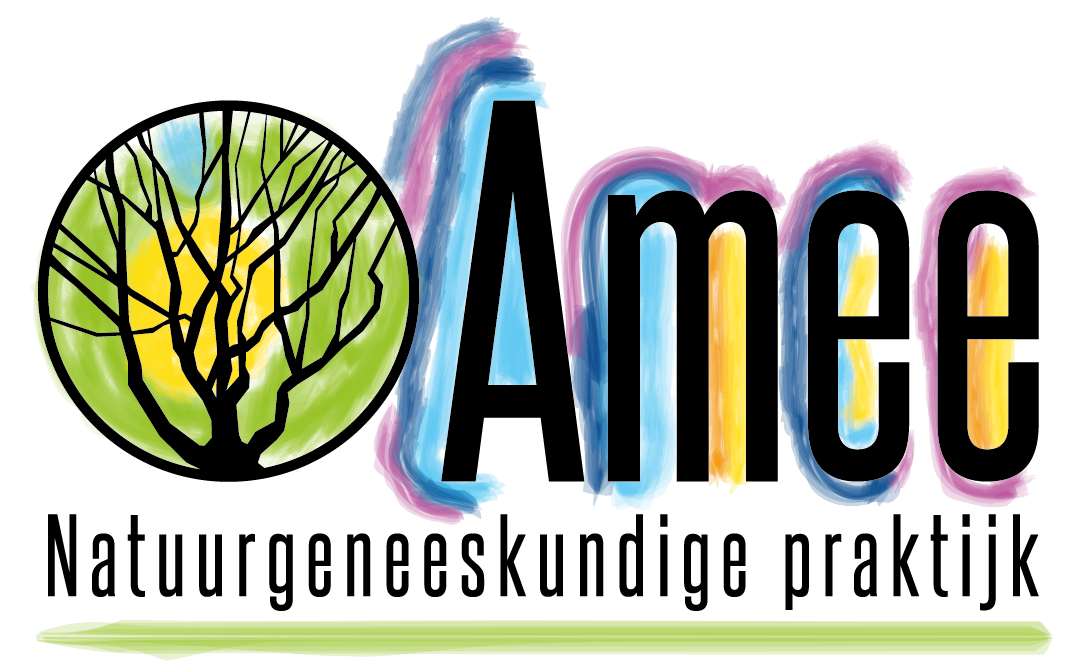 Amee Logo